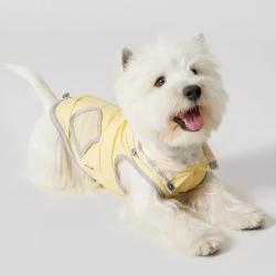 dog-ultra-thin-vest-raincoat-water-and-dirt-resistant-wind-shield
