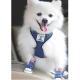 Small Dog Teddy Shoes Dog Four Seasons