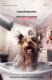 Dog Pet Quick-drying Bath Towel