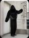 Mens Pullover Hoodie Sweatshirt