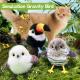 Cross-border Hot Cat Shaking Bird Simulation Bird Cat Toy Self-Hi Relieving Stuffy Electric Sound Sparrow Automatic Funny Cat