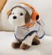 Password Dog Childrens Electric Plush Simulation Pet Doll