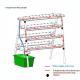 Home Balcony Hydroponic Vegetable Planter With A Double-sided Planting Rack