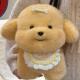 Plush Toy Claw Machine Doll Gift Doll