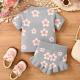 Childrens Flower Embroidery Ruffled Short Sleeves Shorts Suit