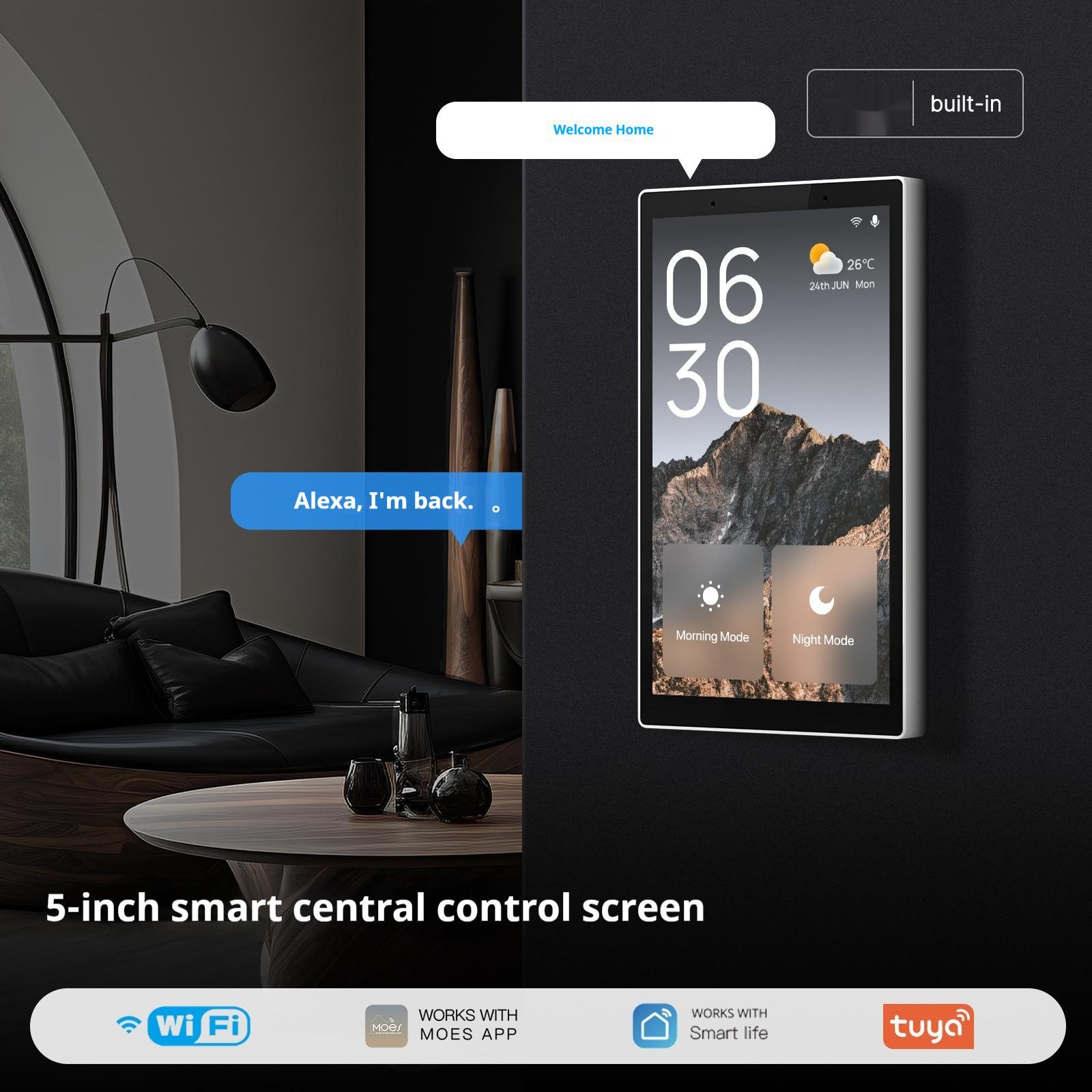 Graffiti Smart Home WiFi Central Control Screen