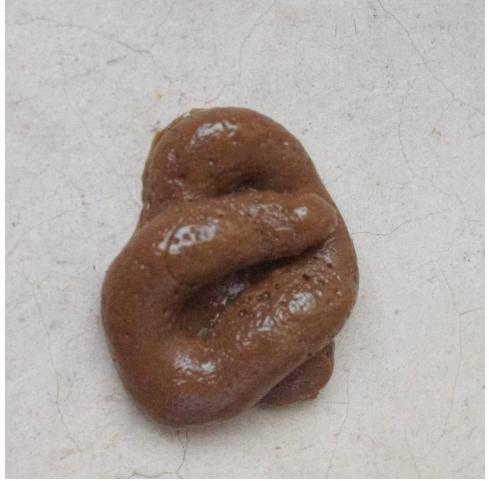 Poop decoration-No. 1 dog poop color-1 - Option1