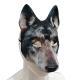 Halloween Carnival Party Dress Up Animal Wolf Mask