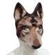 Halloween Carnival Party Dress Up Animal Wolf Mask
