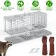 1Pc Humane Cat Trap Cage With Gloves Catch Release Live Animal Rodent Cage Collapsible Galvanized Wire For Raccoons Beavers Groundhogs Foxes Armadillos