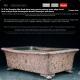 Antique Floating Mouth Deep Rectangular Pot Rhododendron And Begonia Flower Pot