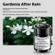Car Aromatherapy-Balm Style-Gardenia After Rain-1 bottle - Option1