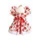 Pet Clothes Flounced Sleeve Three Colors Dress
