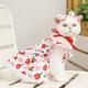 Pet Clothes Flounced Sleeve Three Colors Dress
