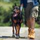 Pet Outdoor Sports Shoes With Anti Slip Biomimetic Stripes