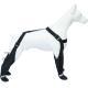 Elastic Belt With Reflective Pet Shoes Waterproof