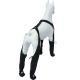 Elastic Belt With Reflective Pet Shoes Waterproof