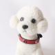 PU Leather Cats Eye Stone Dog Collar