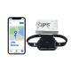 New 4G Solar-powered GPS Tracker For Cattle And Sheep With Temperature Monitoring And Wi-Fi Location Tracking