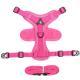 Cat Pulling Rope Vest Pet Harness