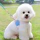 Dog Leash Summer Breathable Corgi Shiba Inu Bichon Chest Vest Walking Dog Leash Small And Medium-sized Dog Pet Supplies