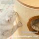 Wooden Luxury Cat Climbing Frame Cat Bed Cat Tree