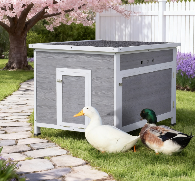 Wooden With Openable Roof Cage, Removable Floor