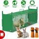 32in 2 Door Live Animal Cage Trap With Glove Green For Animals Under 12LBS Easy To Setup Humane Galvanized Iron Trap Cage For Rabbits Groundhogs Skunk Opossums Nutria Stray Cats