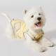 Dog Ultra-thin Vest Raincoat Water And Dirt Resistant Wind Shield
