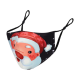 Washable and reusable Christmas printed mask