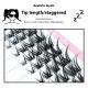 Fox Eye Ten Rows Of False Eyelashes Oblique Flying Single Cluster Split Type