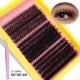 Segmented Hot Melt Stem Thick False Eyelash Set