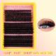 Segmented Hot Melt Stem Thick False Eyelash Set