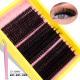 Segmented Hot Melt Stem Thick False Eyelash Set