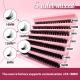 5D Messy 40p 60p Thick Hot Melt False Eyelashes
