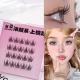 Fox Curling Glue-free Portable False Eyelashes