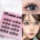 Fox Curling Glue-free Portable False Eyelashes