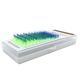 Single Colored Eyelashes Two-tone Gradient 007 Purple