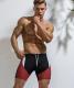 Color Matching Mens Five-point Swimming Trunks Swimming Trunks Seaside Beach Shorts