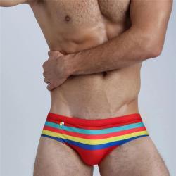 Boys Colorful Striped Fashion Briefs