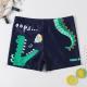 Cartoon boy swimsuit