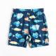 Childrens beach shorts boxer swimming trunks