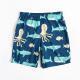 Childrens beach shorts boxer swimming trunks