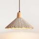 Concrete Wrinkled Wooden Pendant Light For The Home