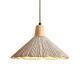 Concrete Wrinkled Wooden Pendant Light For The Home