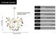 Nordic Firefly Onyx Modern Minimalist Creative Chandelier
