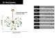 Nordic Firefly Onyx Modern Minimalist Creative Chandelier