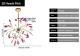 Nordic Firefly Onyx Modern Minimalist Creative Chandelier