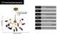 Nordic Firefly Onyx Modern Minimalist Creative Chandelier