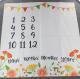 Ins Baby Photography Cloth Photo Blanket